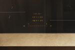 Miele - KM 8463 FX – Plite - 3